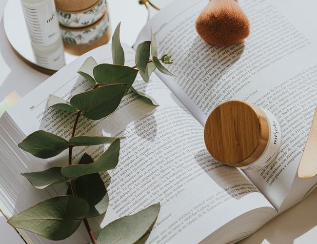 Calm evening routine representation with organic elements