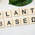 Plant based elements illustration for natural health
